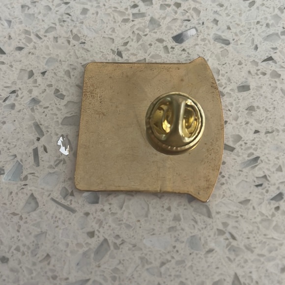 2007 Fort Worth Texas stock Show and Rodeo Pin - Picture 2 of 2